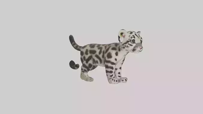 Clouded Leopard cub playing model