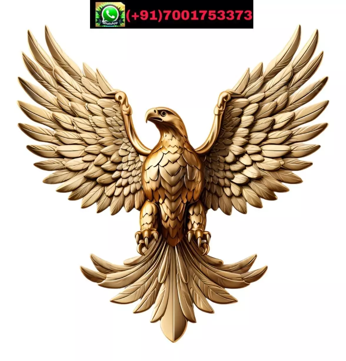 Eagle 3D print model_0