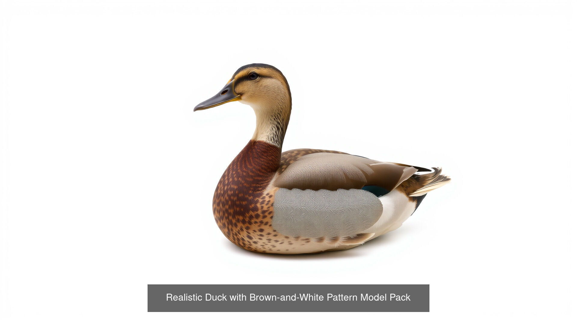 Farmyard Creatures 3D Pack 3D Model Collection_16