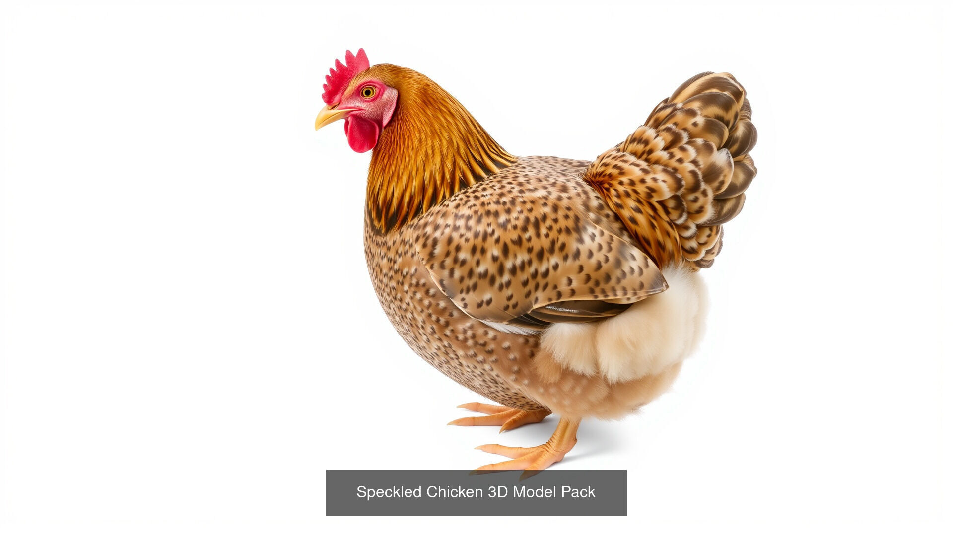 Farmyard Creatures 3D Pack 3D Model Collection_4