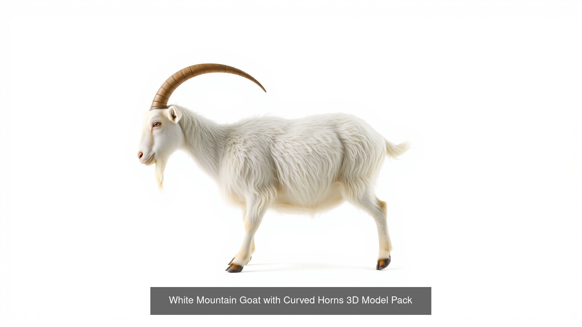 Farmyard Creatures 3D Pack 3D Model Collection_9