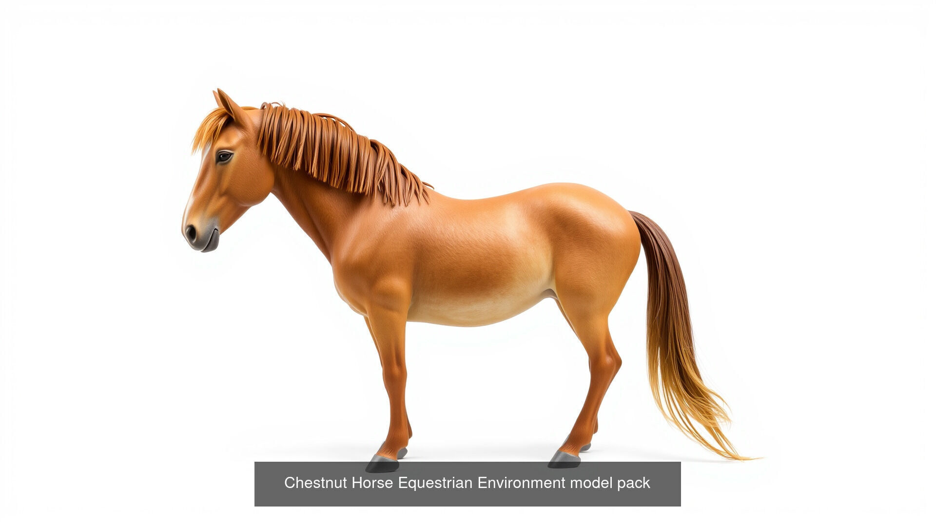 Farmyard Creatures 3D Pack 3D Model Collection_6