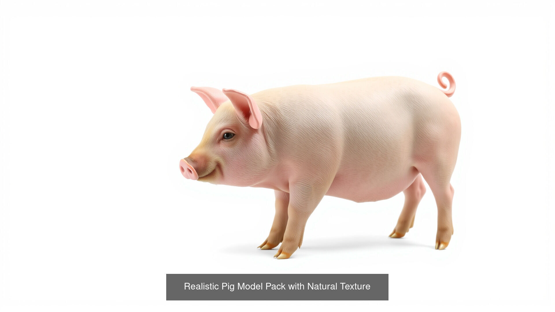 Farmyard Creatures 3D Pack 3D Model Collection_10