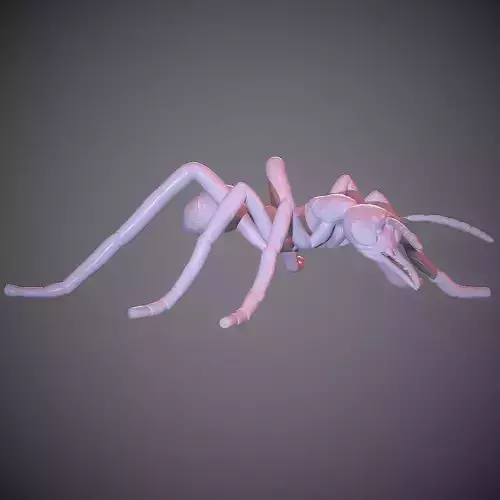 Realistic ant Myrmecia gulosa