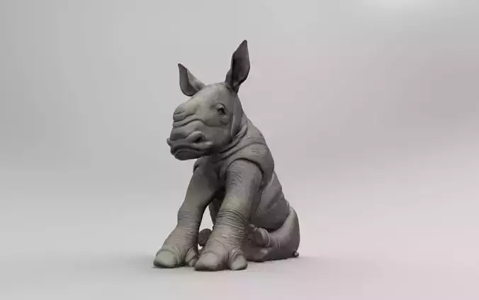 Baby Rhino 3D print model
