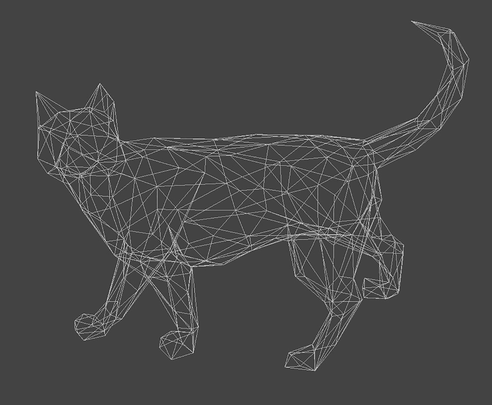 Cat 3D Print Model Geometric 3D print model_9