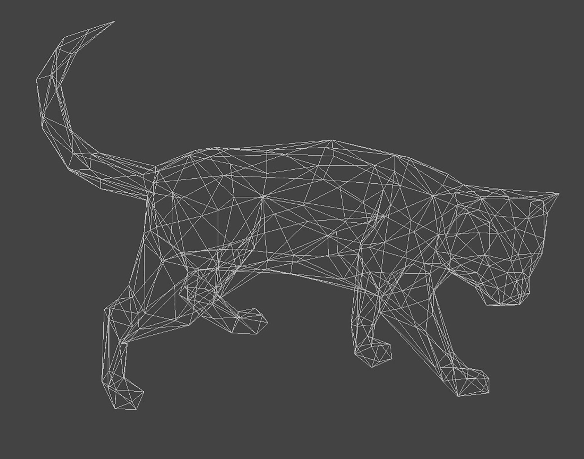 Cat 3D Print Model Geometric 3D print model_10