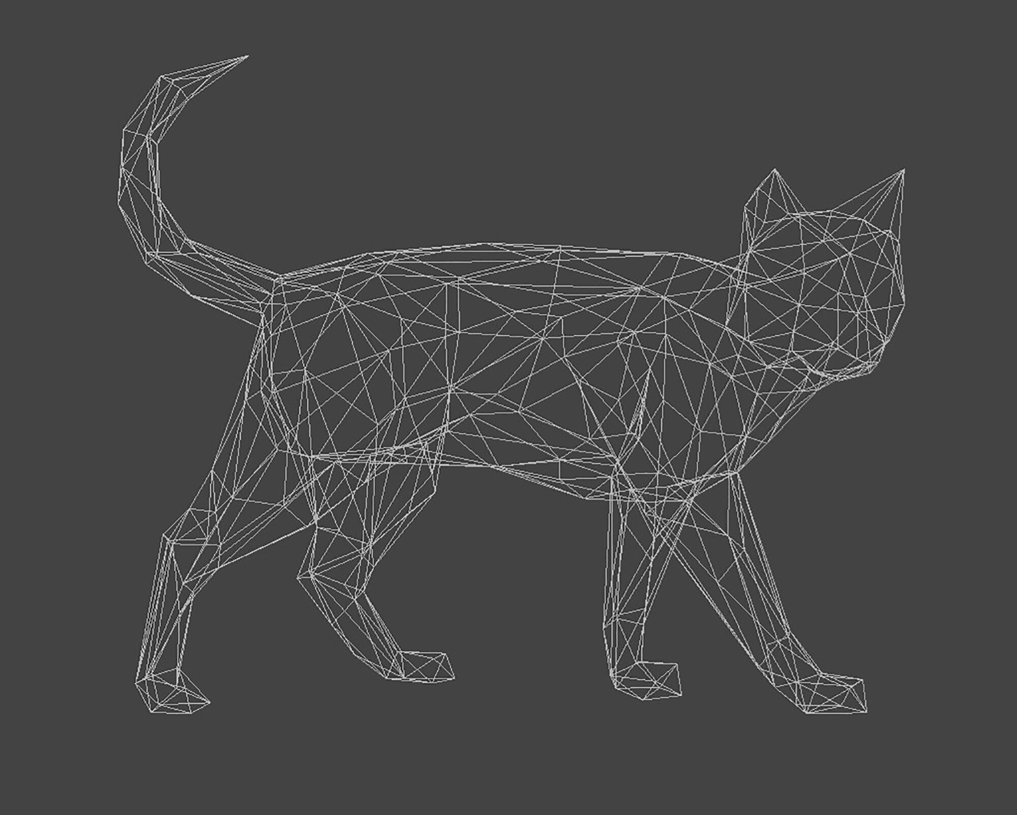 Cat 3D Print Model Geometric 3D print model_8