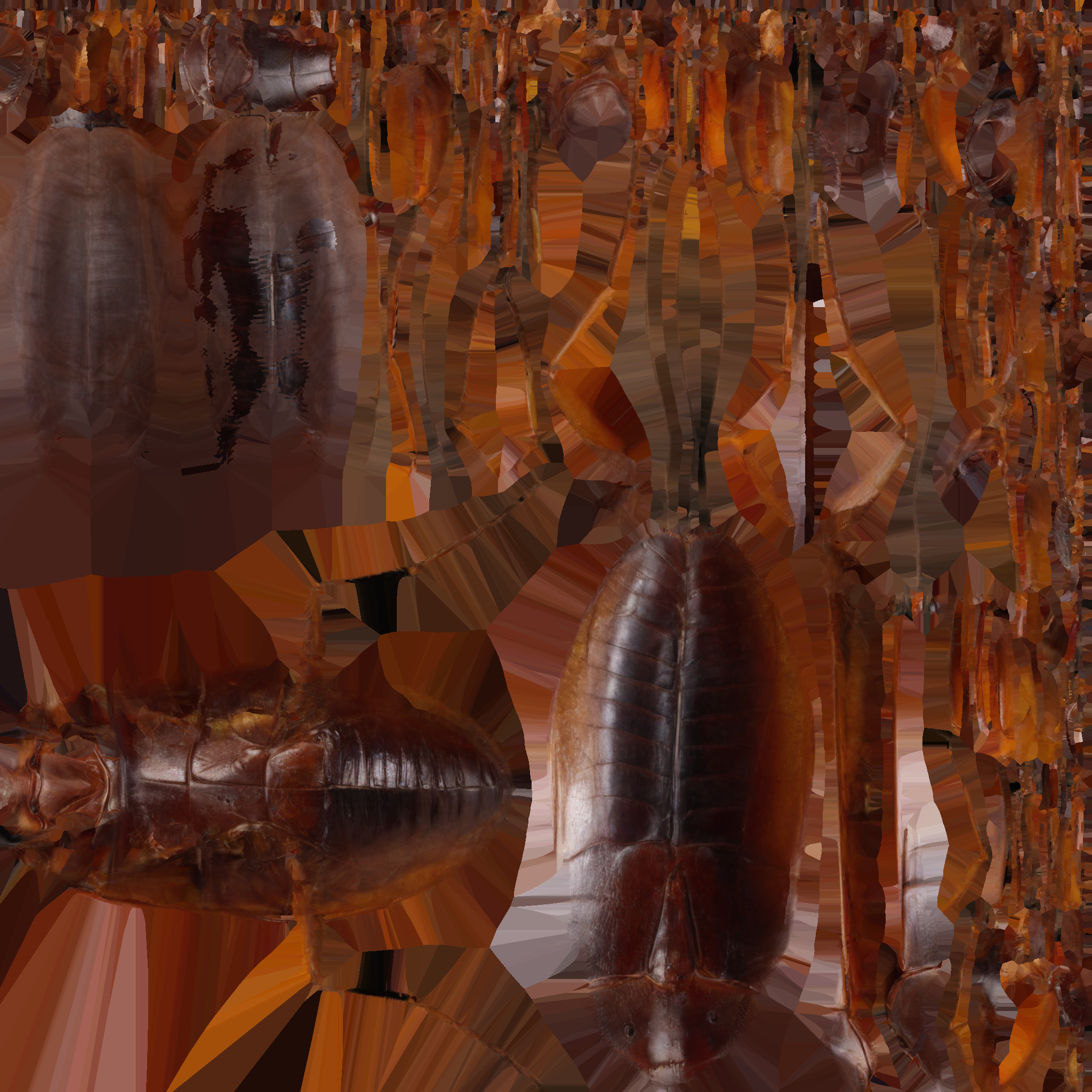 cockroach Low-poly 3D model_6