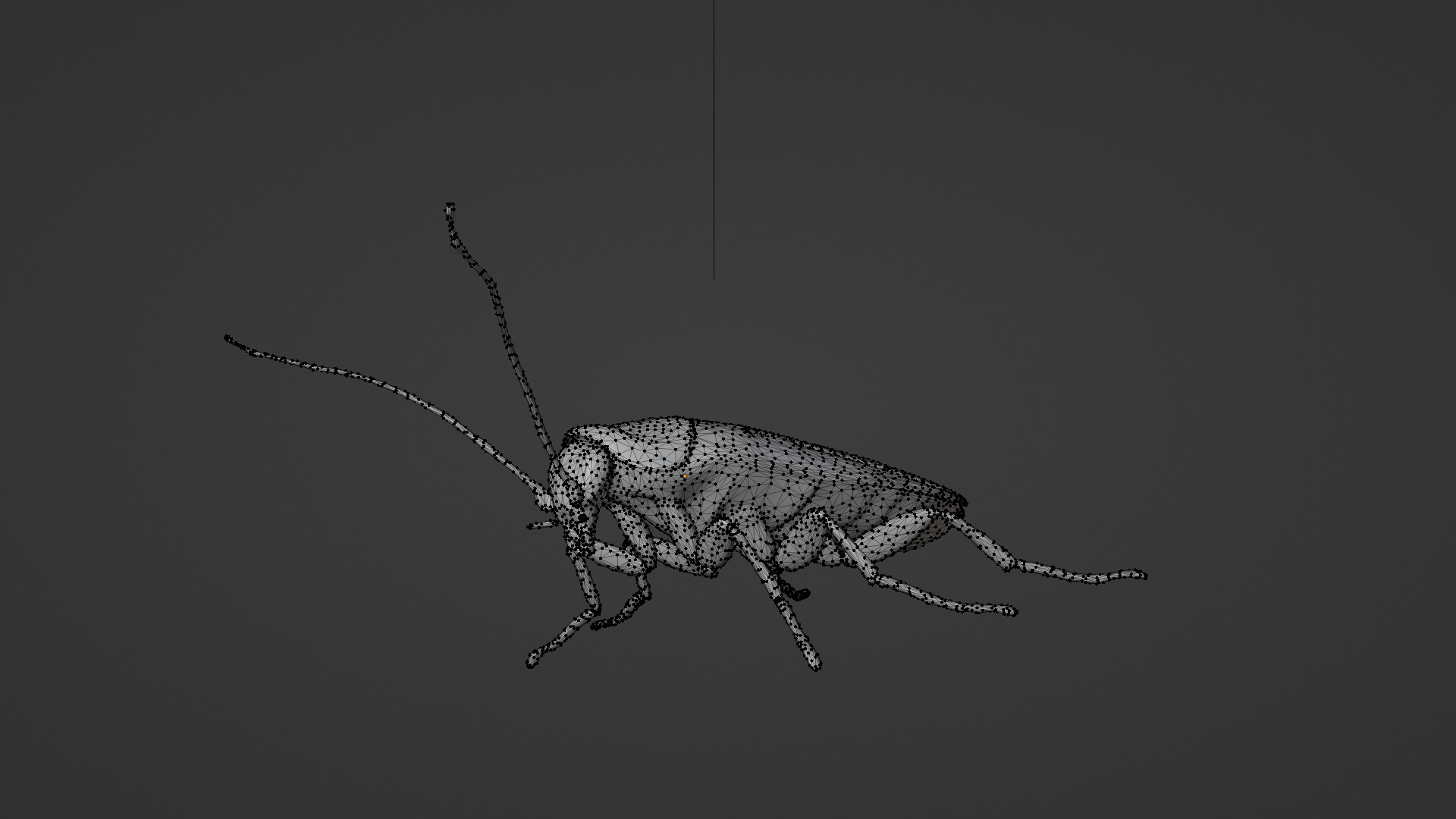 cockroach Low-poly 3D model_4