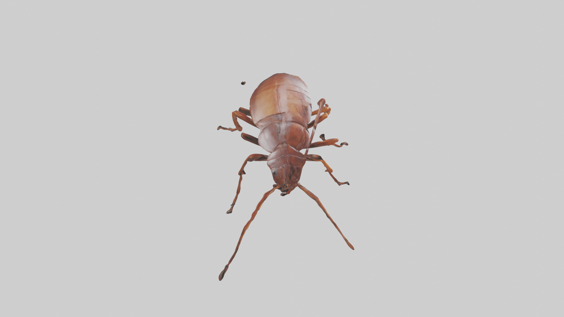 Cockroach scurrying model Low-poly 3D model_28