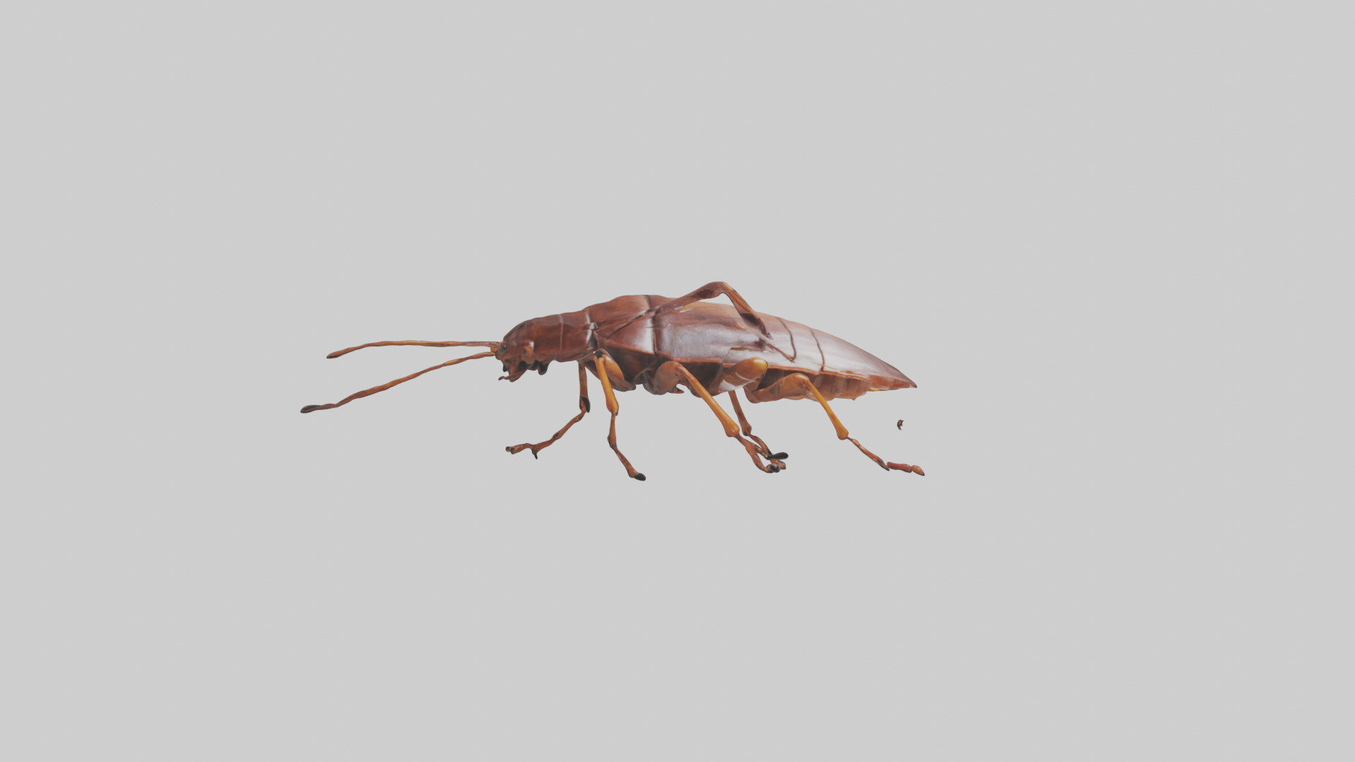 Cockroach scurrying model Low-poly 3D model_20