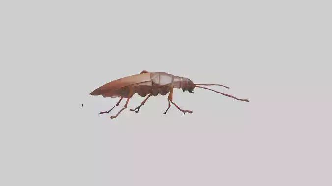 Cockroach scurrying model Low-poly 3D model
