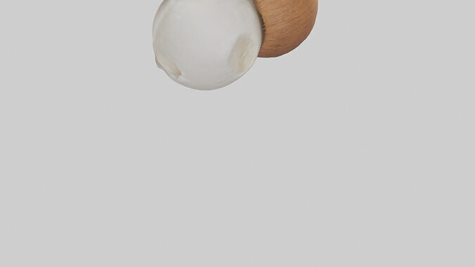 Coconut milk model Low-poly 3D model 6