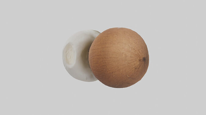 Coconut milk model Low-poly 3D model 5