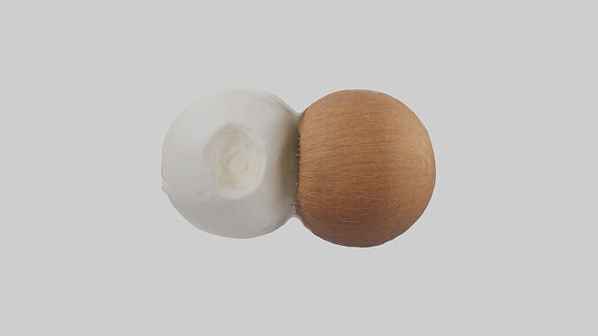 Coconut milk model Low-poly 3D model 3