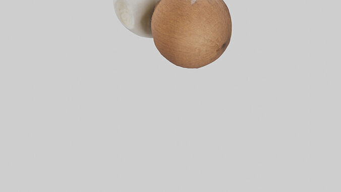 Coconut milk model Low-poly 3D model 7