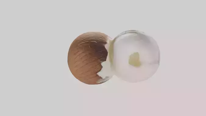 Coconut milk model Low-poly 3D model