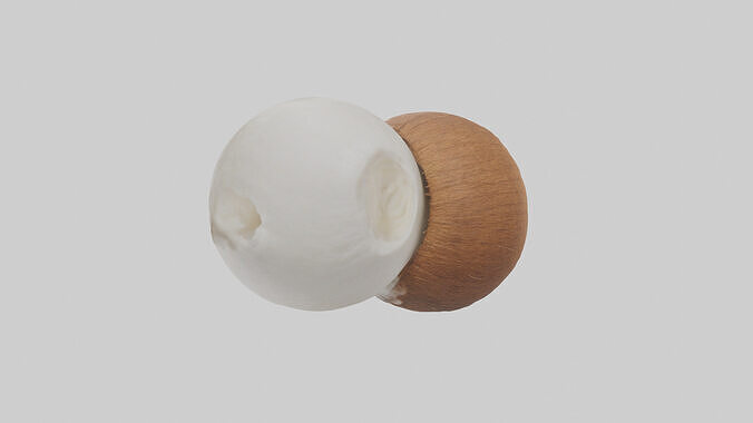 Coconut milk model Low-poly 3D model 4