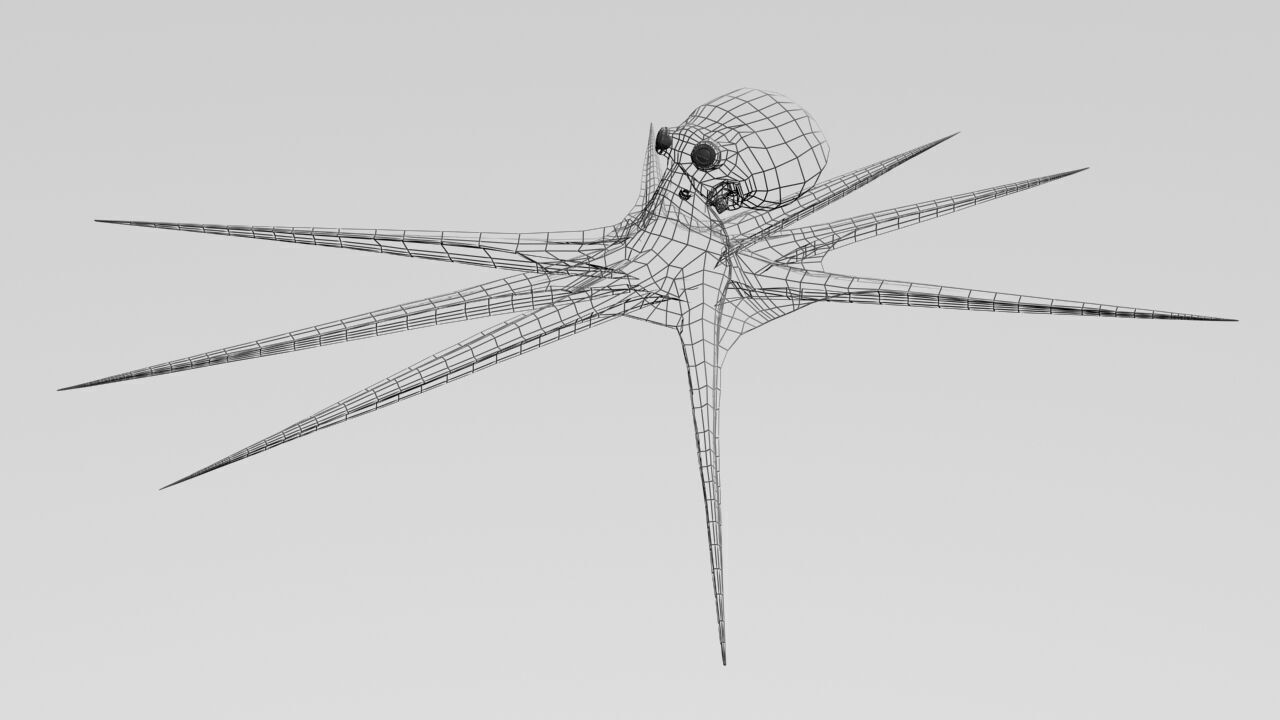 octopus Free 3D model_3