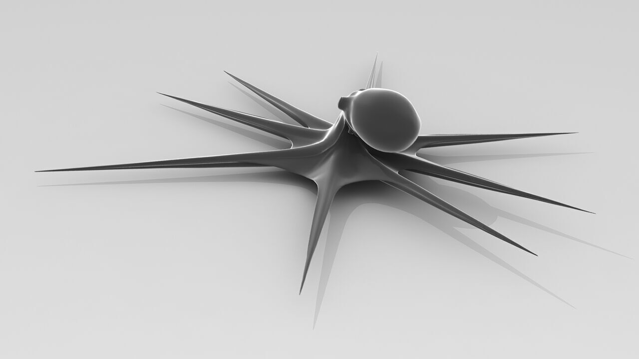 octopus Free 3D model_1