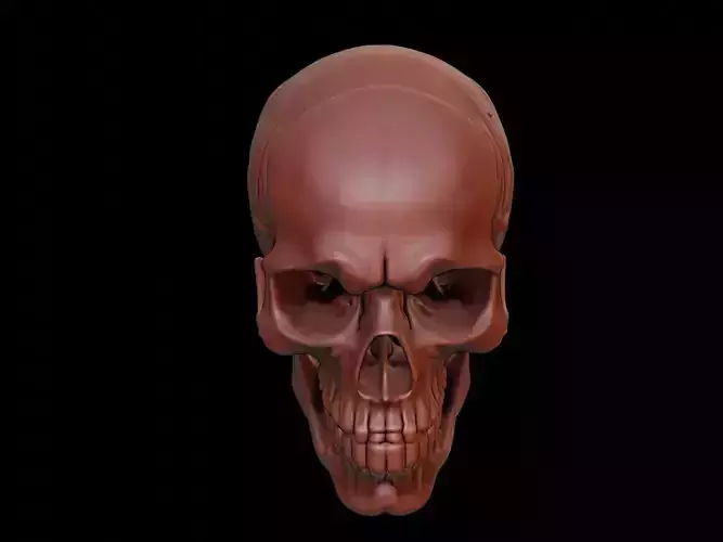 Skull Mask 3d Printing