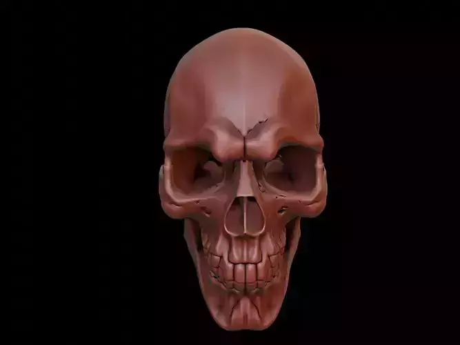 Skull Mask 3d Printing