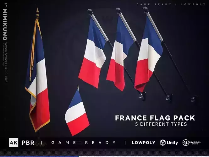 France FLAG Pack Low-poly  3D model Game Read