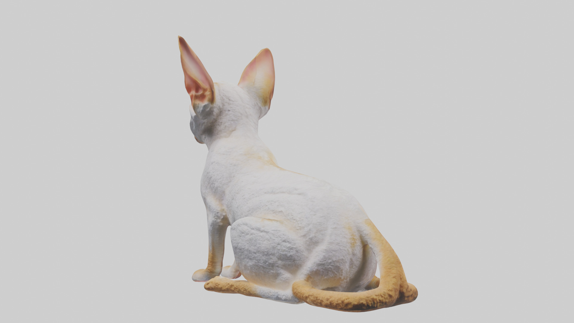 Cornish Rex statue model Low-poly 3D model_4