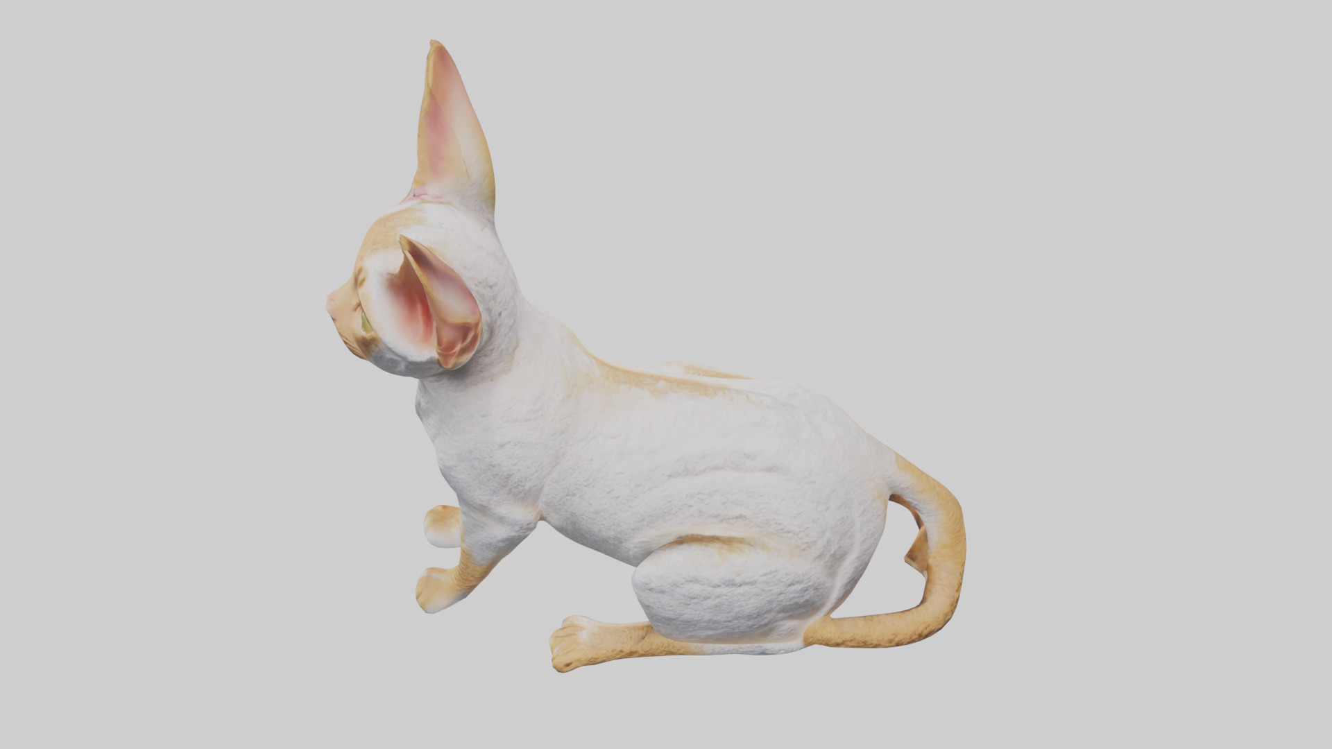 Cornish Rex statue model Low-poly 3D model_25