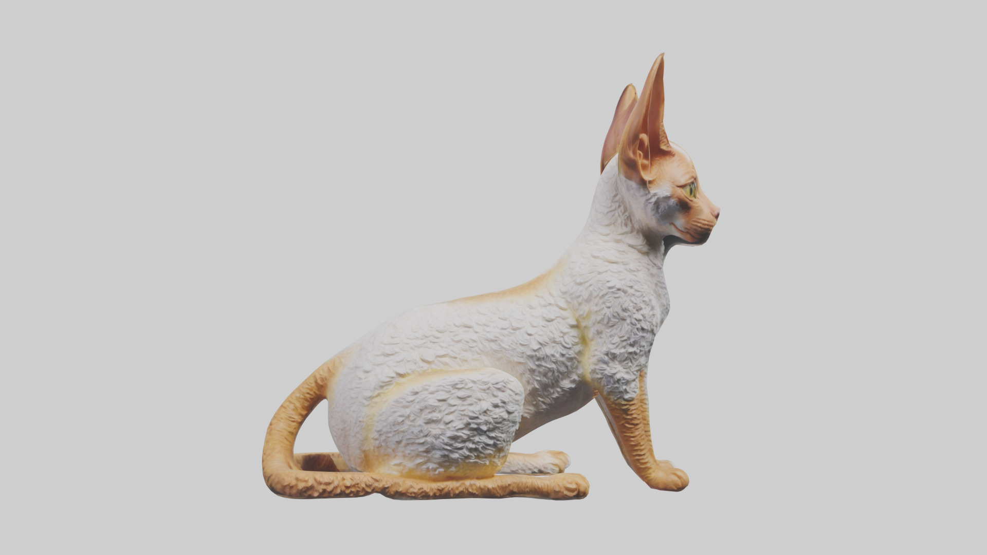 Cornish Rex statue model Low-poly 3D model_19