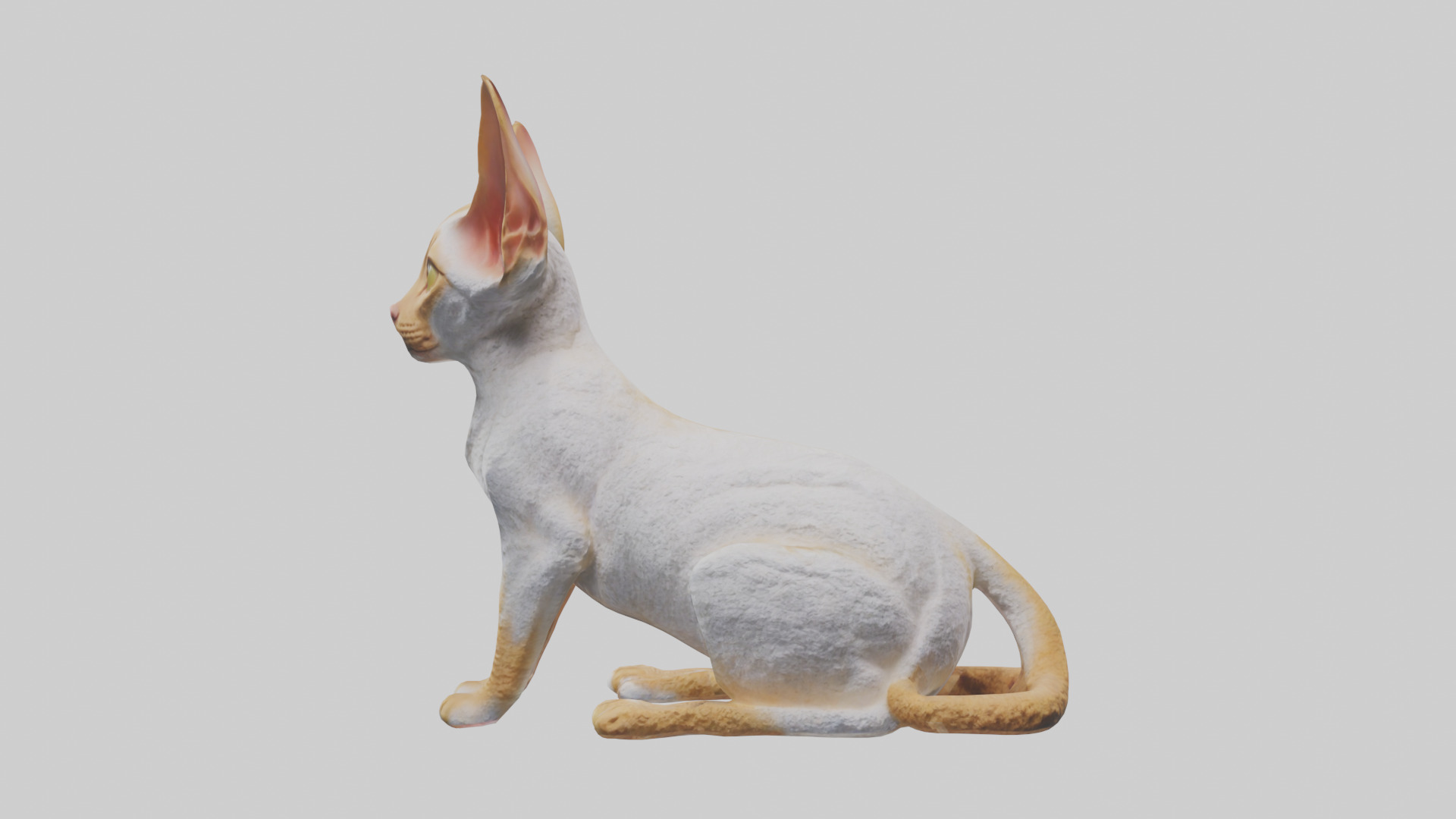 Cornish Rex statue model Low-poly 3D model_2