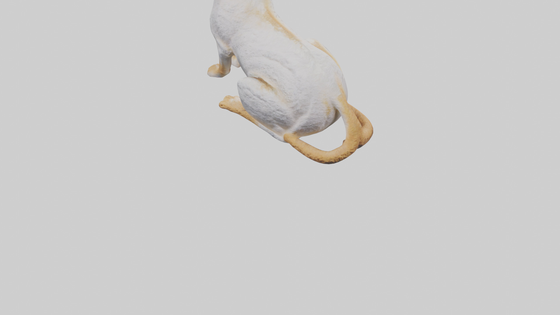 Cornish Rex statue model Low-poly 3D model_6