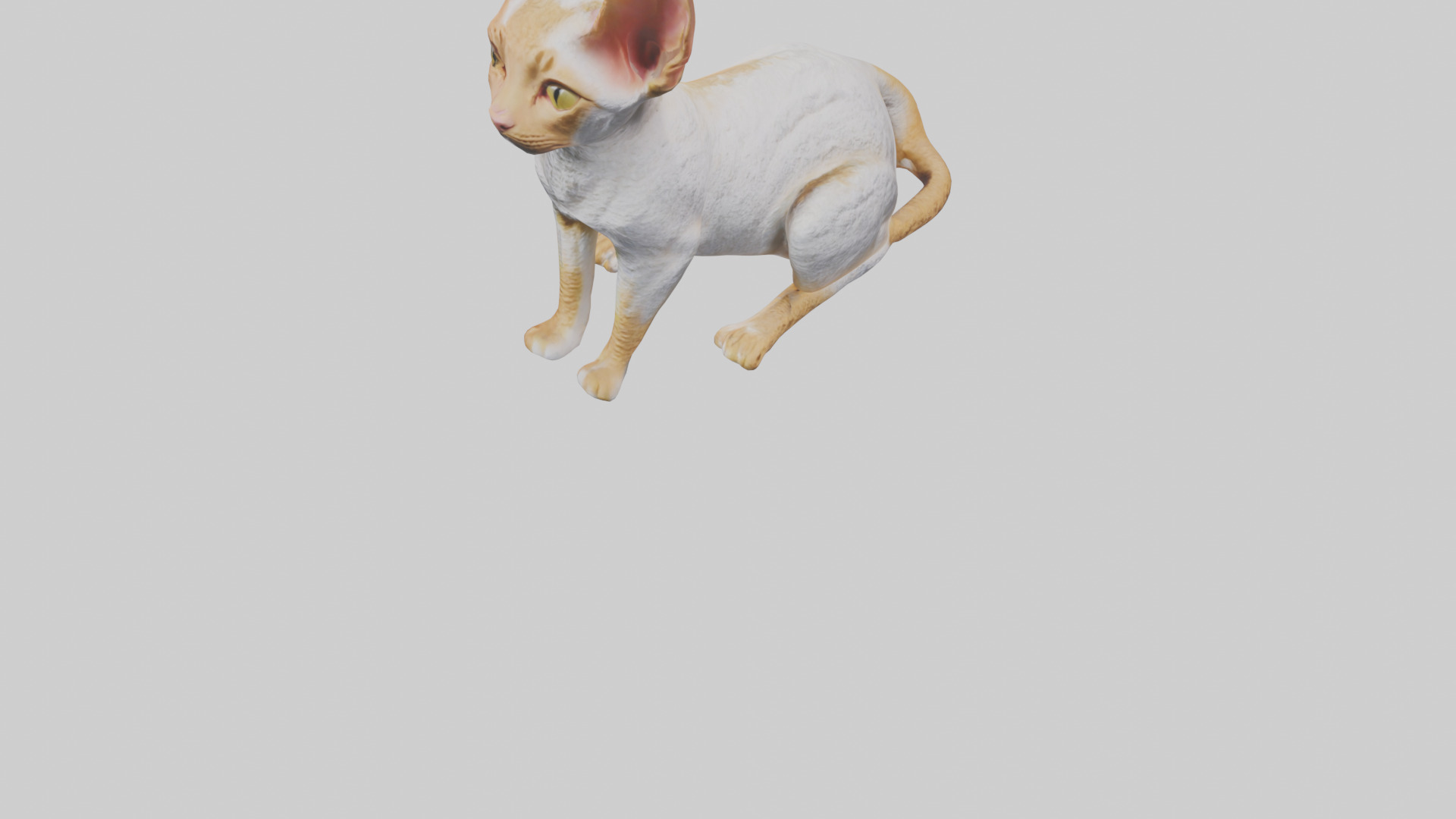 Cornish Rex statue model Low-poly 3D model_5