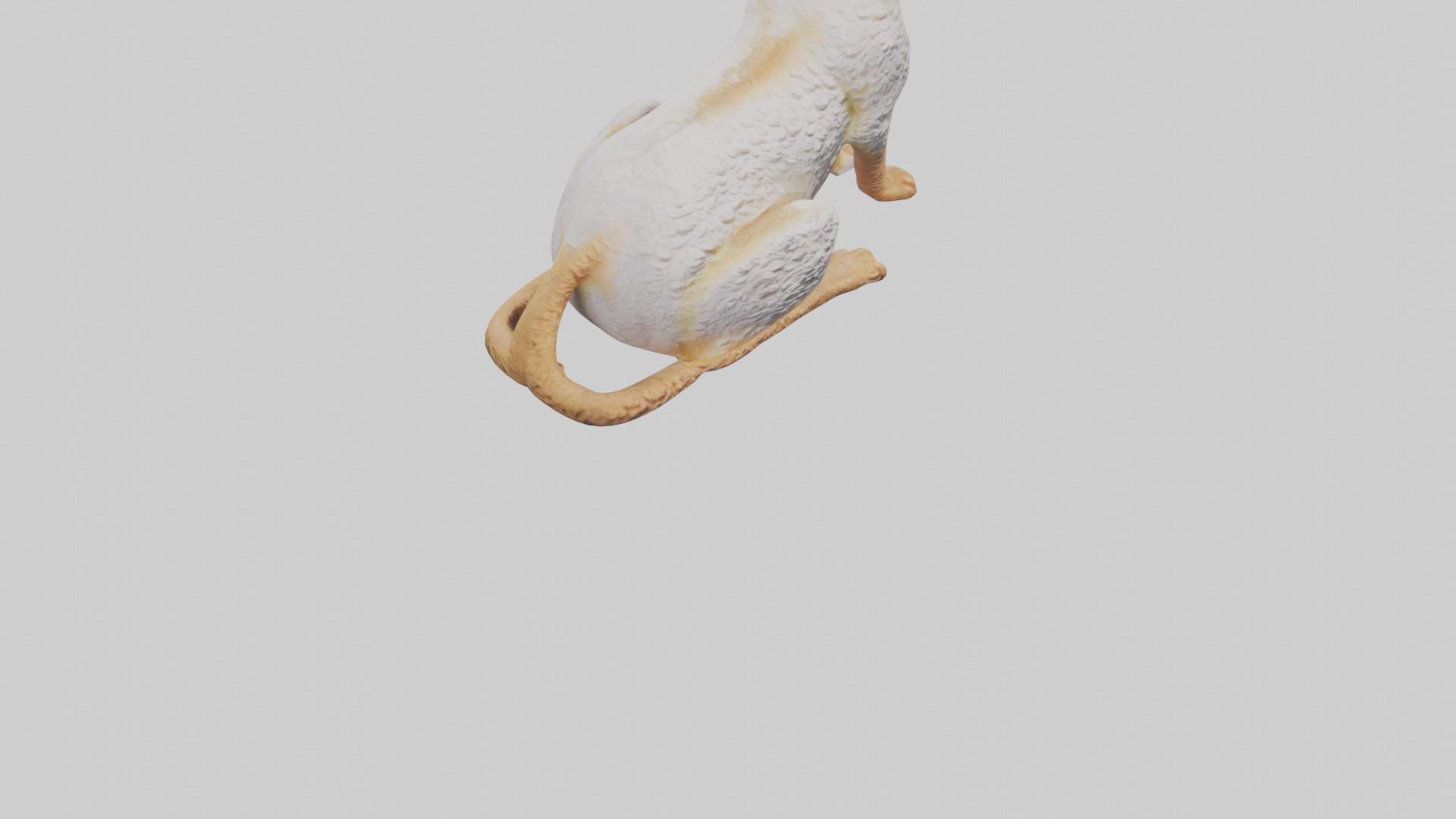 Cornish Rex statue model Low-poly 3D model_8