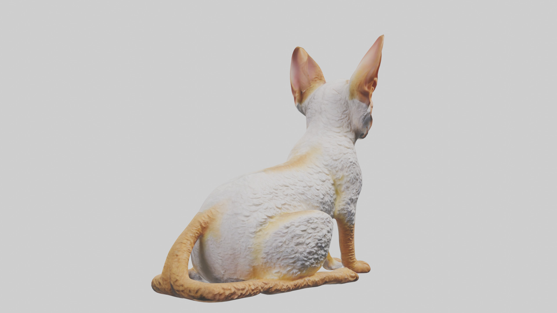 Cornish Rex statue model Low-poly 3D model_9