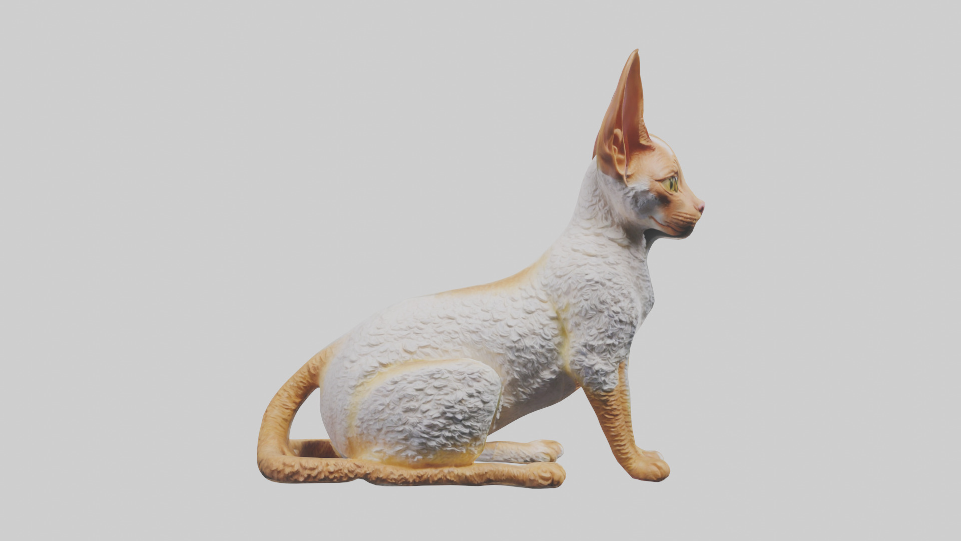 Cornish Rex statue model Low-poly 3D model_14