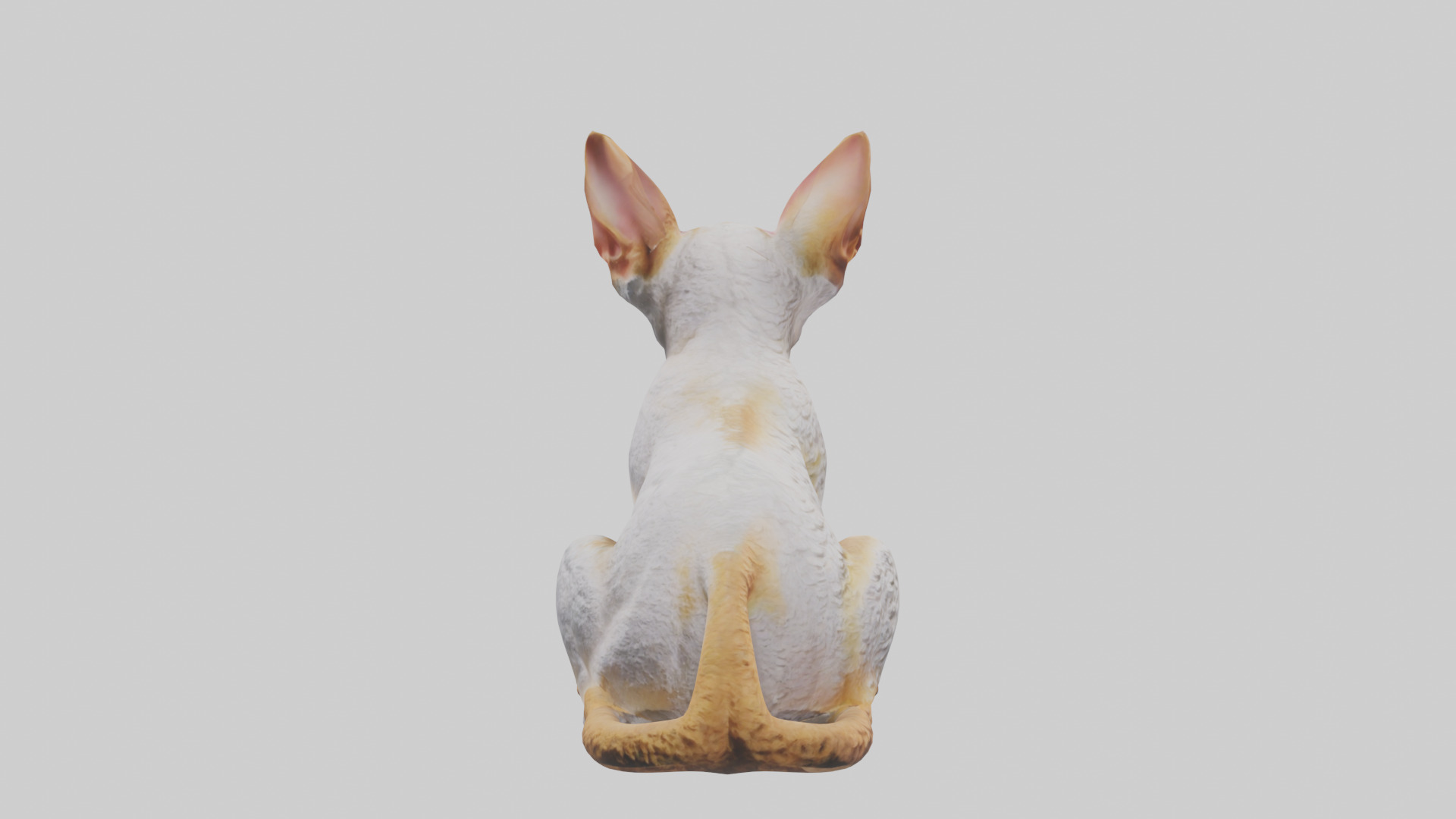 Cornish Rex statue model Low-poly 3D model_23