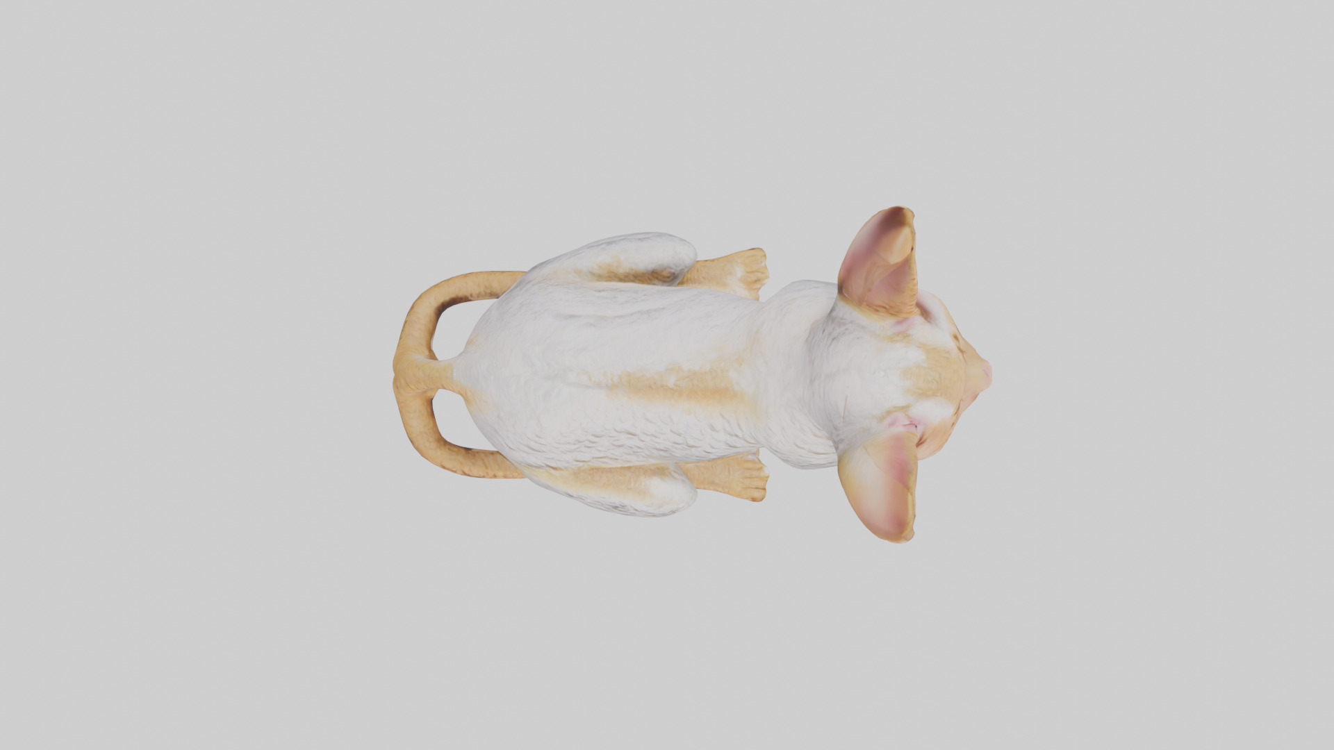 Cornish Rex statue model Low-poly 3D model_24