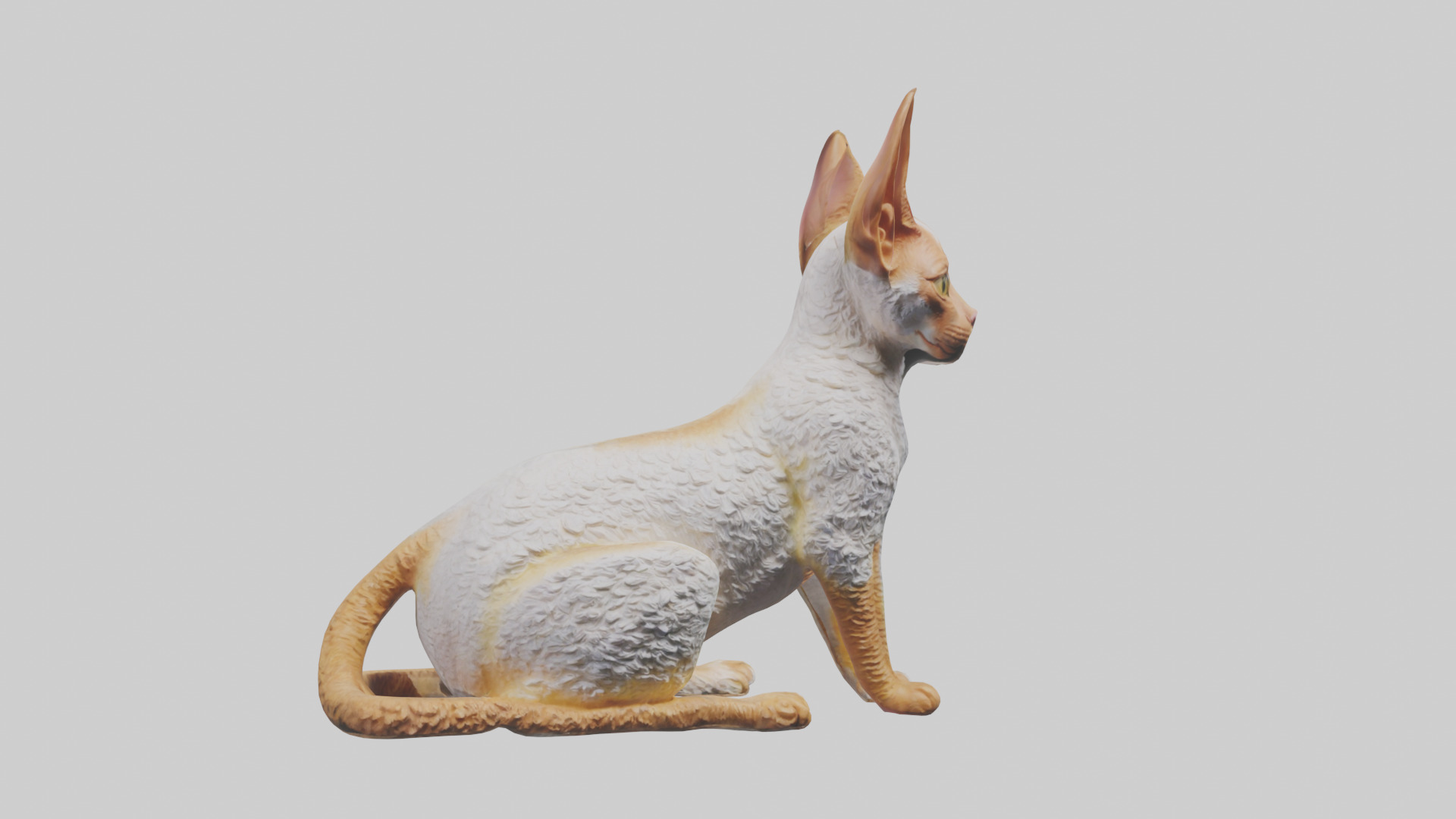 Cornish Rex statue model Low-poly 3D model_18
