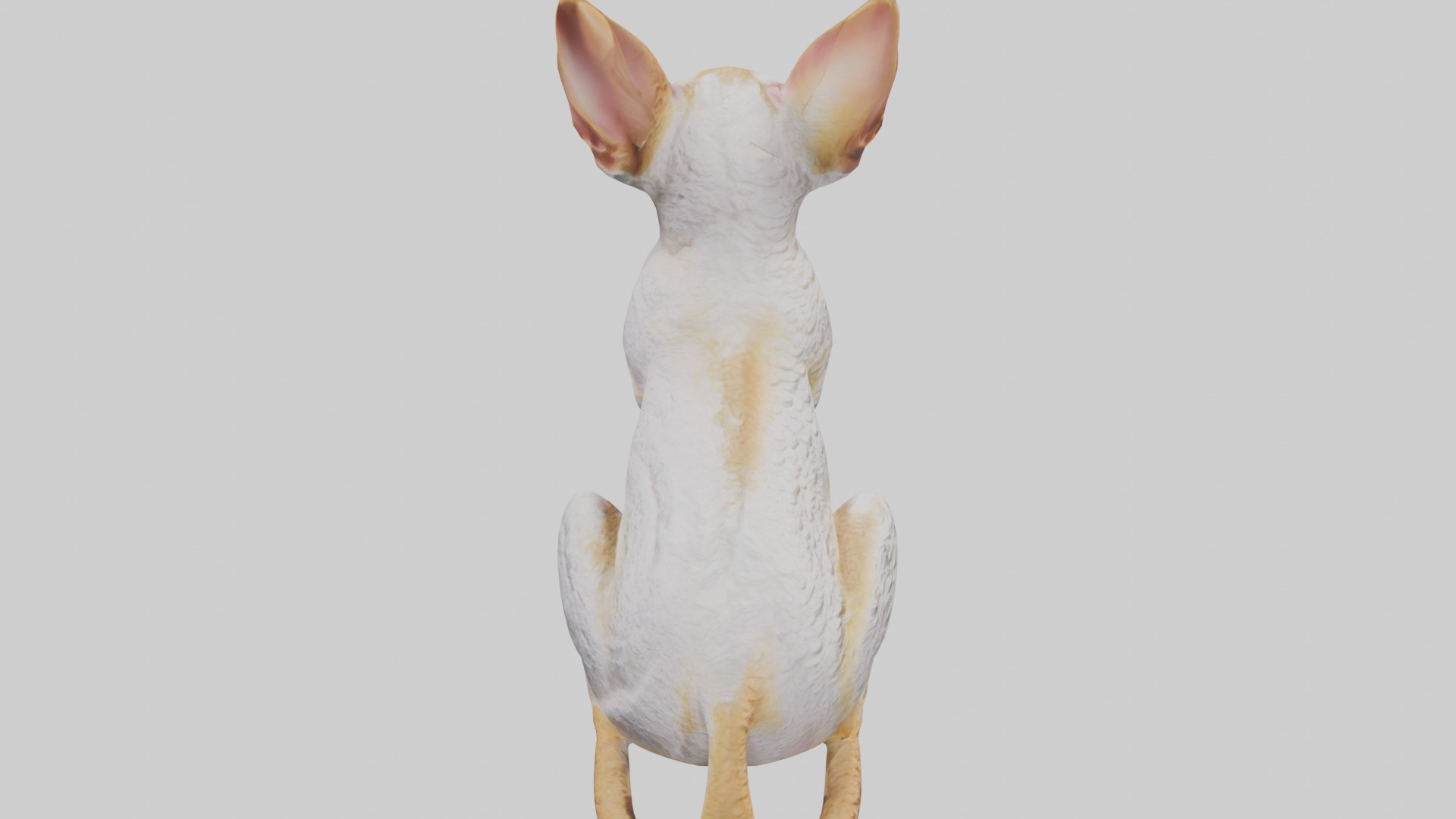 Cornish Rex statue model Low-poly 3D model_28