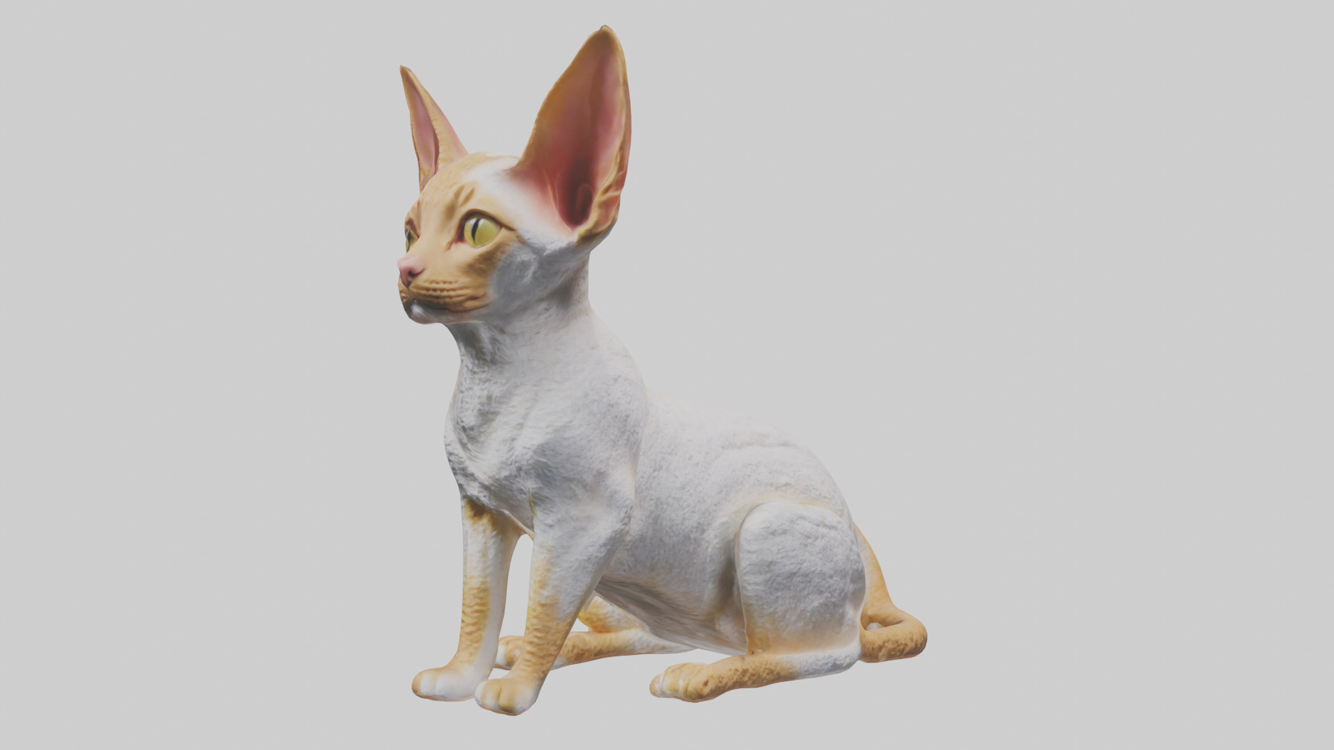 Cornish Rex statue model Low-poly 3D model_3