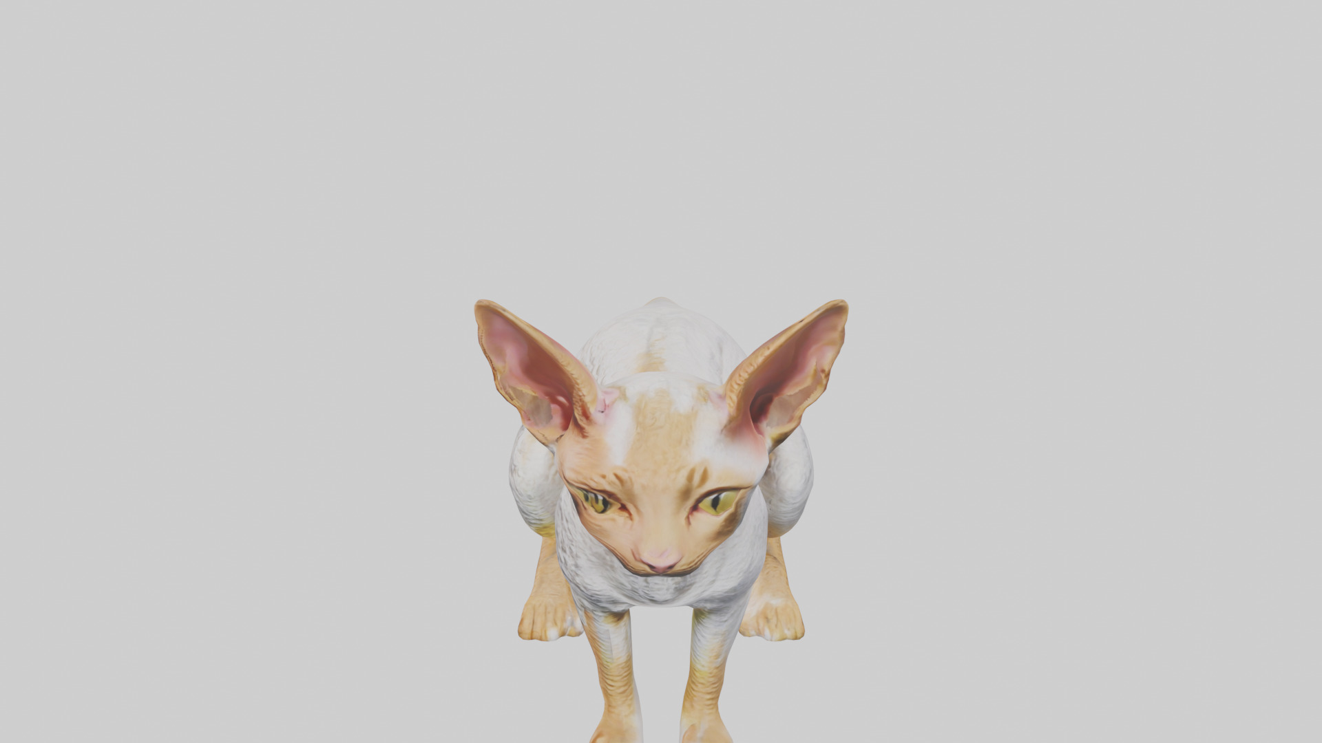 Cornish Rex statue model Low-poly 3D model_27