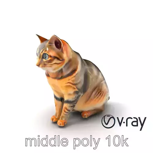 Realistic Domestic Cat 3D Model Pack