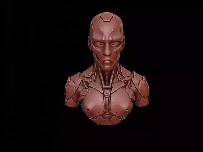 Cyborg Bust