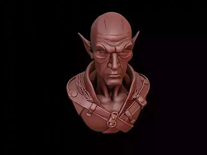Dark Elf Bust 3D print model