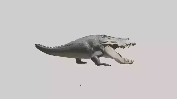 Crocodile Jaws Low-poly 3D model
