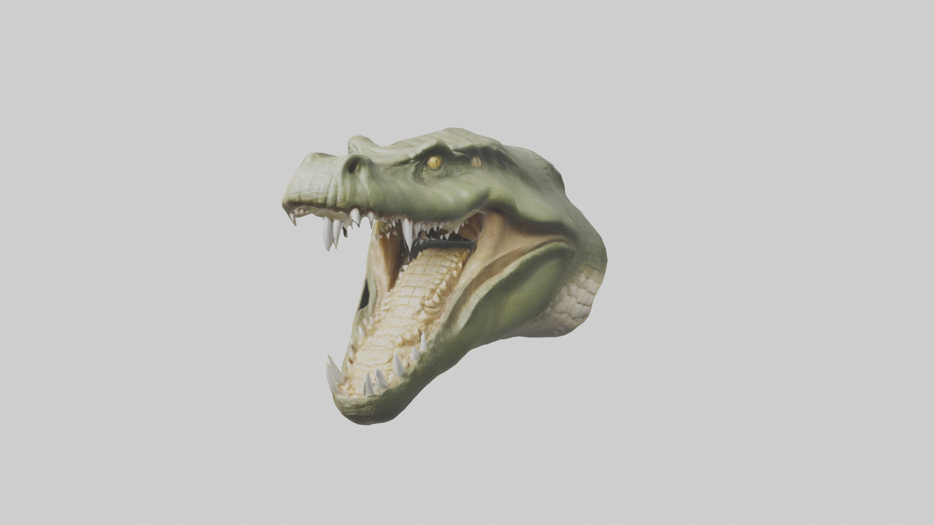 Crocodile Jaws Model Low-poly 3D model_11