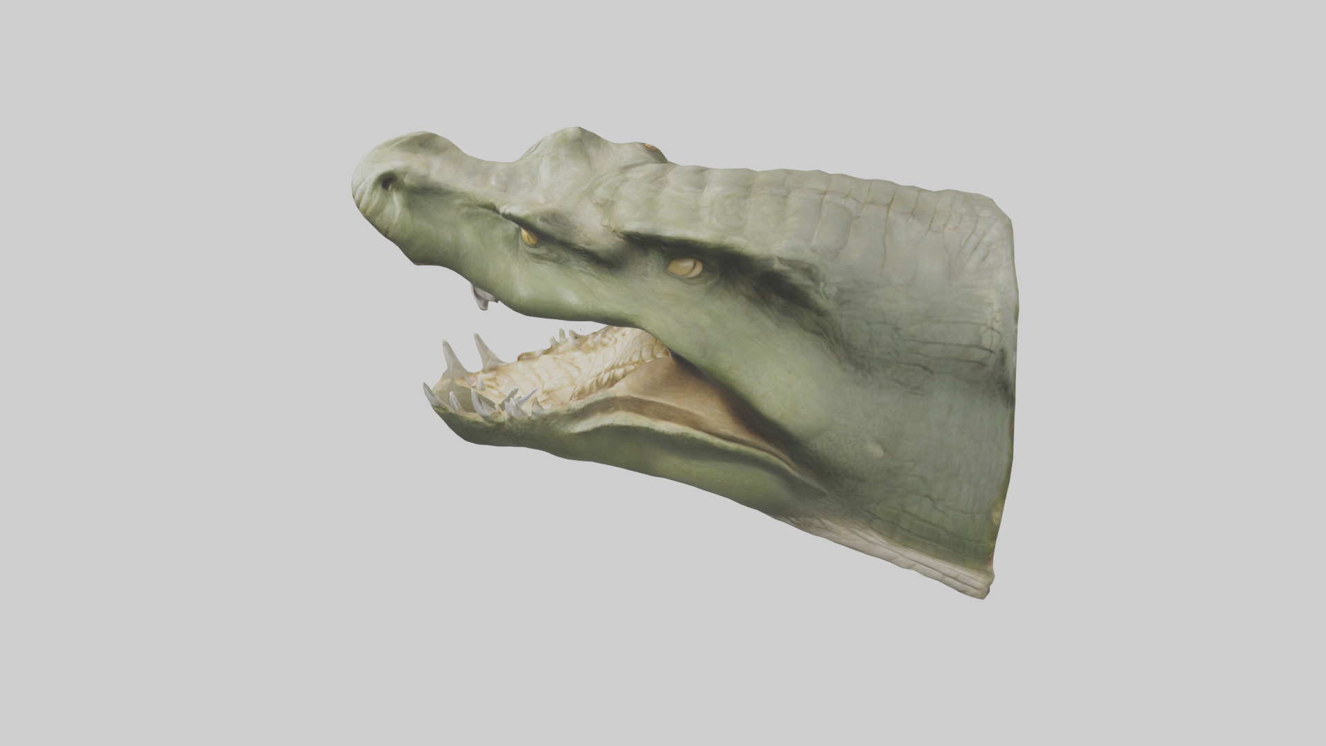Crocodile Jaws Model Low-poly 3D model_27
