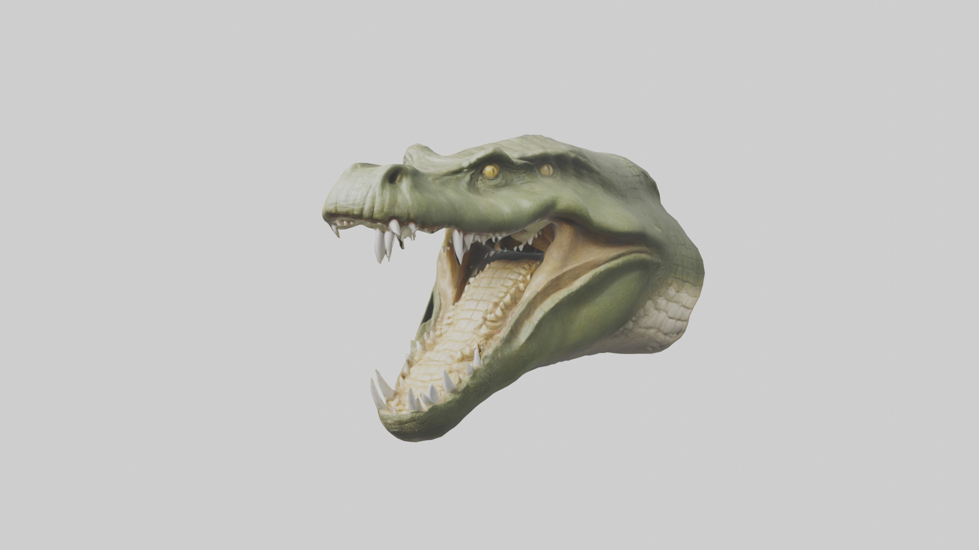 Crocodile Jaws Model Low-poly 3D model_15
